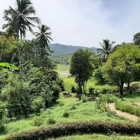 Victoria Views Resort Kandy Digana Buitenkant foto