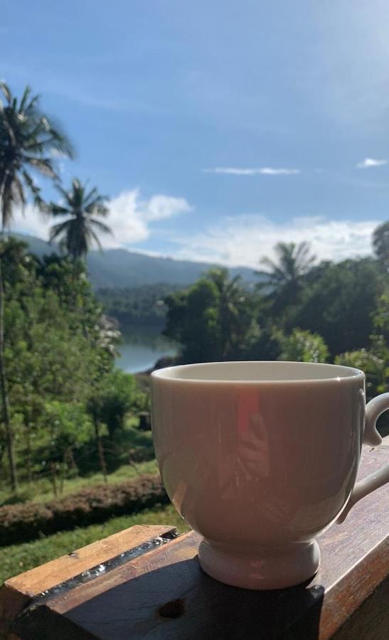 Victoria Views Resort Kandy Digana Buitenkant foto