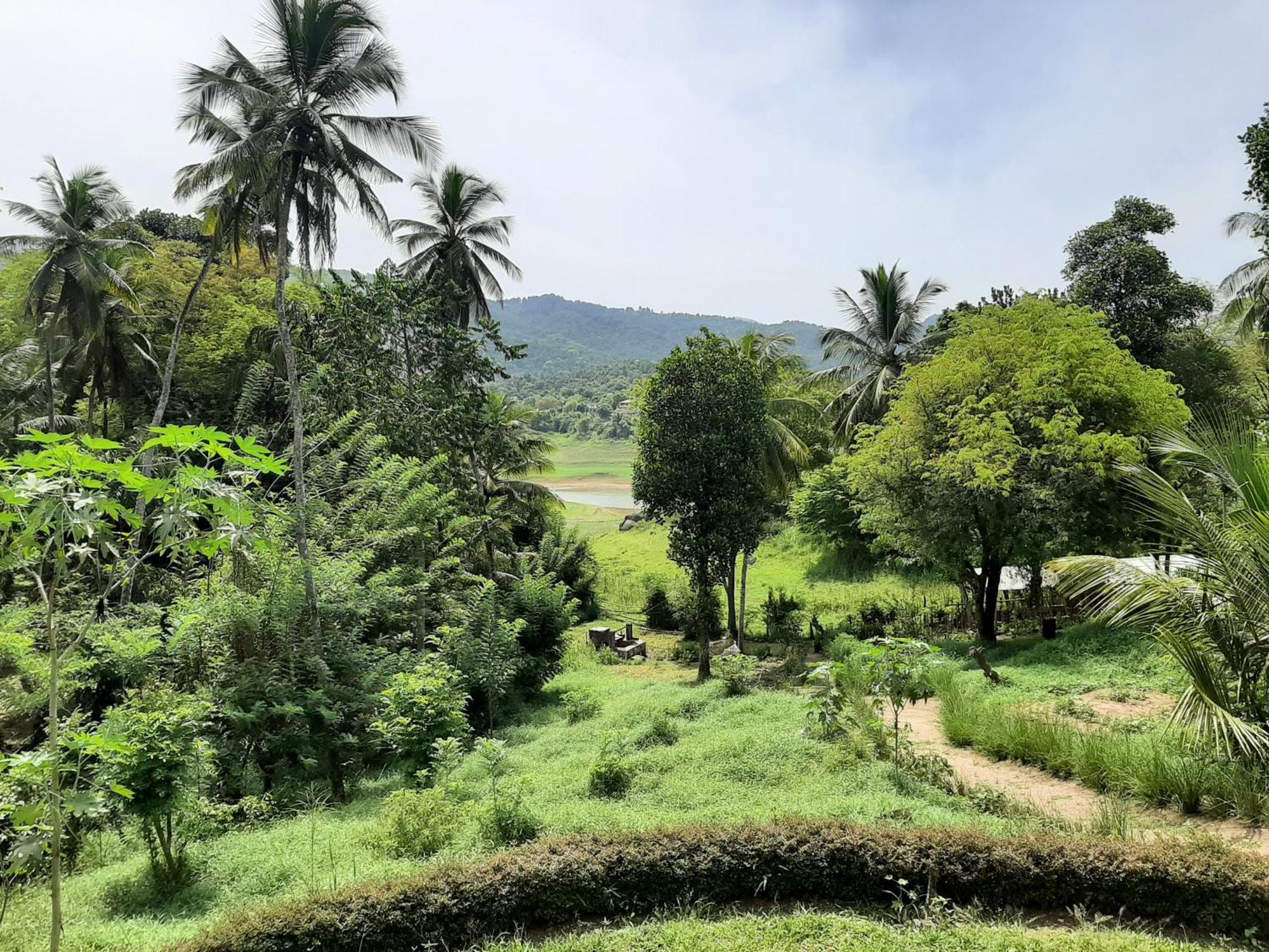 Victoria Views Resort Kandy Digana Buitenkant foto